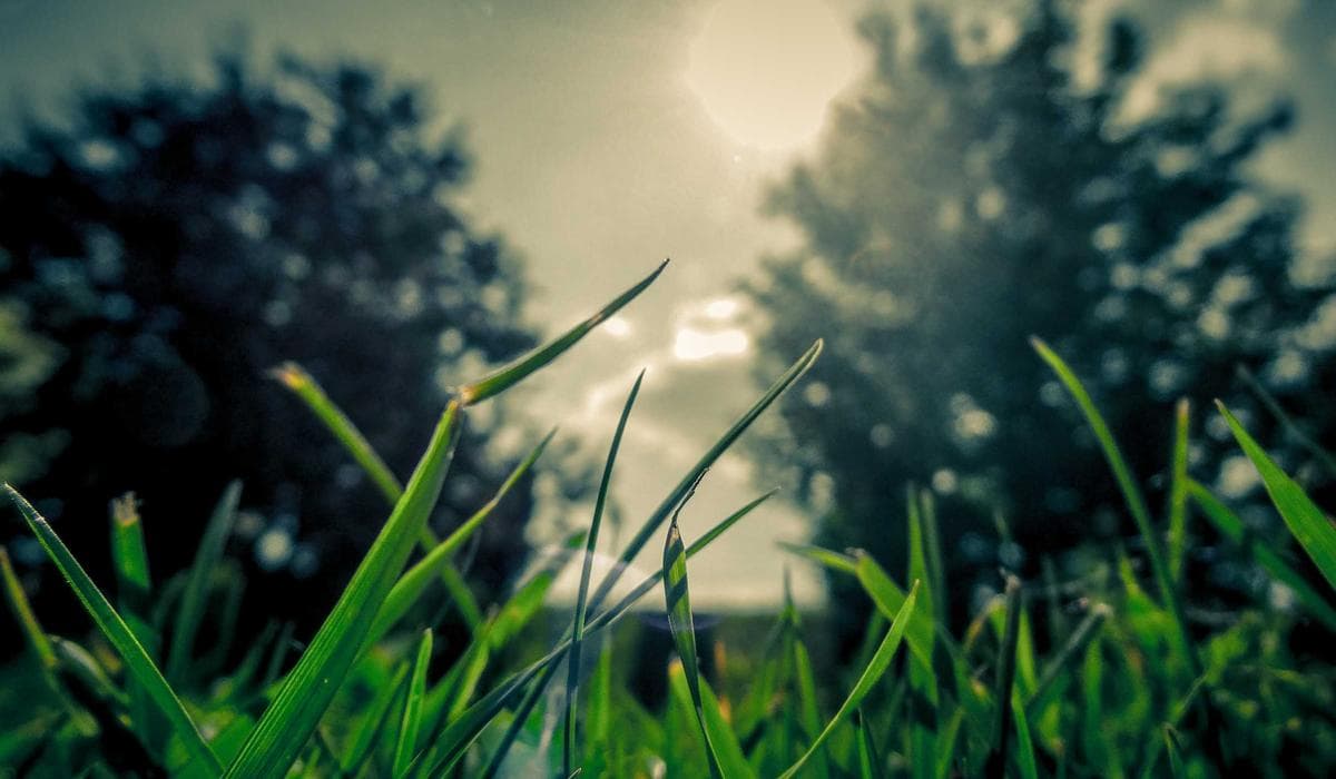 스위스 알프스 7일 상품 이미지